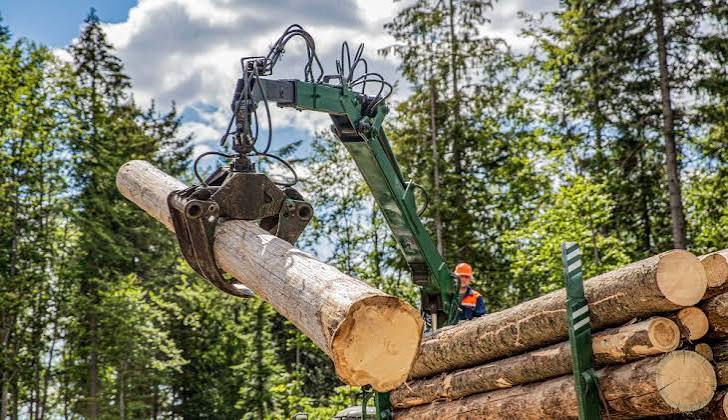Tree Service Acworth